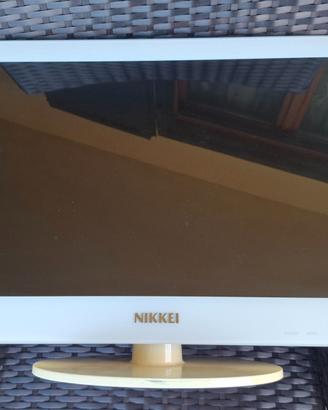 Televisione nikkei