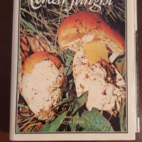 Cercar funghi - Rizzoli editore