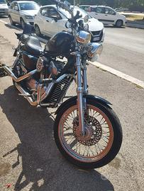 Harley sportster 883