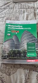 1 matematica multimediale.verde