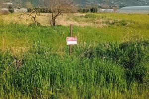 Terreno agricolo a Terracina
