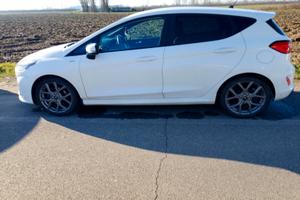 Forte Fiesta Eco ibrida 