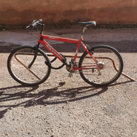 Bici MTB