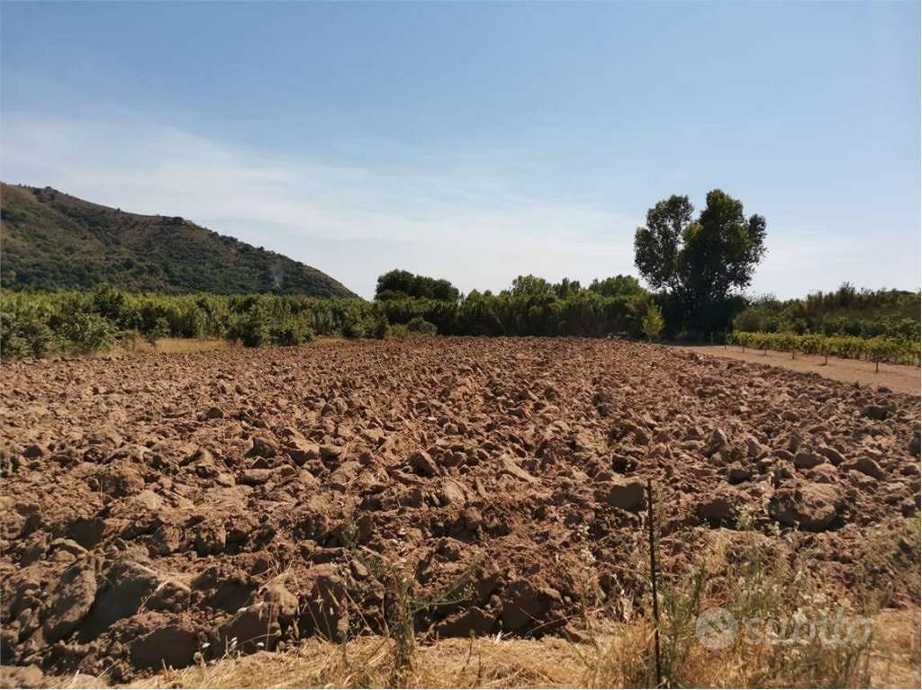 Terreno di 3450 m² a Sessa Aurunca - Vista 4