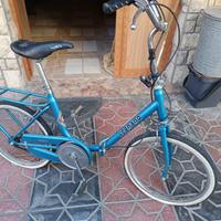 Bicicletta pieghevole molto pratica