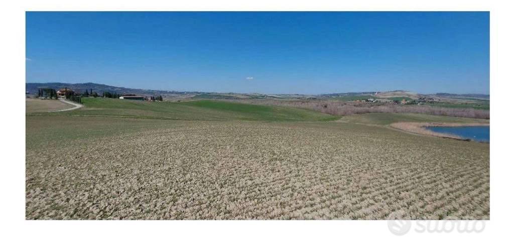 Immobile in asta di 508625 m² a Castiglione d'Orci - Vista 4