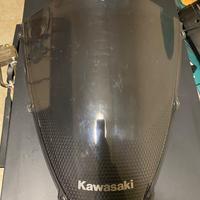 Cupolino Kawasaki Ninja Zx6r 2007/2008