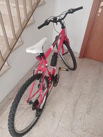 Bicicletta 