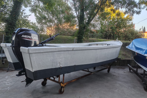 Motore Mercury 40/60