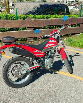 BETA Alp 125