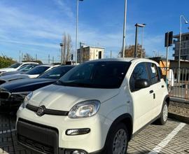 FIAT Panda 1.0 S&S Hybrid Van POP 2 posti IVA ES