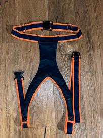 Cintura pelvica  Storello Ausili