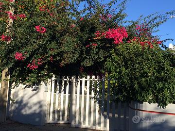 Villa Gandoli Santomaj