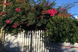 Villa Gandoli Santomaj