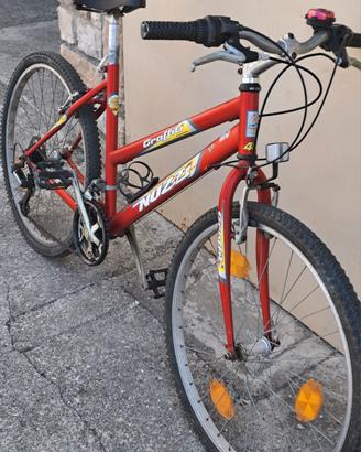 mtb da donna 