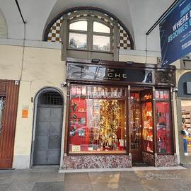 Appartamento a Torino Via Po 2 locali