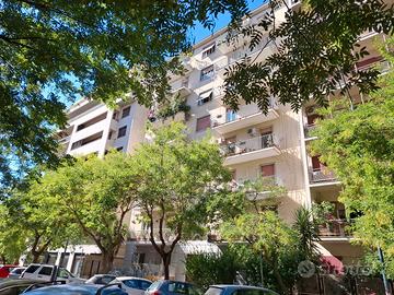 6 Vani pressi Libertà/Don Bosco