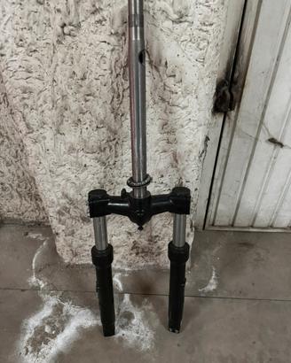 Forcella Beverly 300 hpe (400)