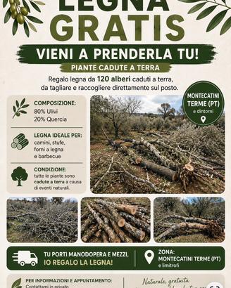 LEGNA GRATIS – CIRCA 120 PIANTE