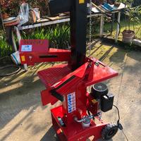 Spaccalegna 10T Ceccato Olindo NUOVO