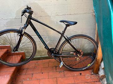 Specialized Cross Trial