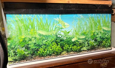 Acquario per pesci da 200 L