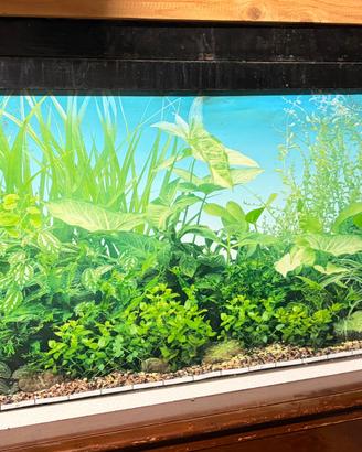 Acquario per pesci da 200 L