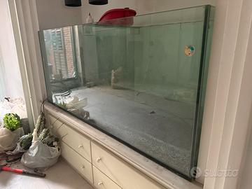 Acquario in vetro