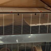 gabbia per criceti/roditori 100x50x50 completa