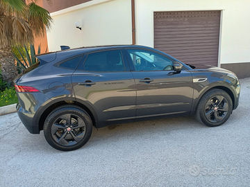 Jaguar e pace da vetrina