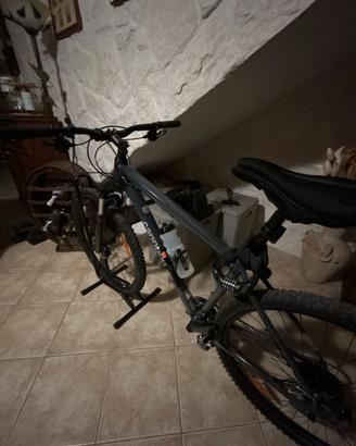 Cannondale trail