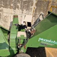 CIPPATORE PEZZOLATO