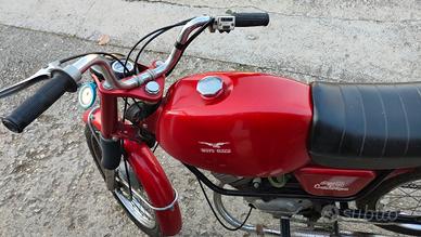 Dingo 50cc G.T. Moto Guzzi