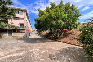 Ufficio Motta Sant'Anastasia [DFS-P4U2-SPACU]