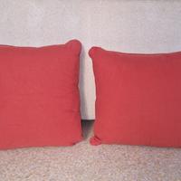 Coppia cuscini