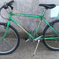 Bicicletta adulto taglia media ruote 26