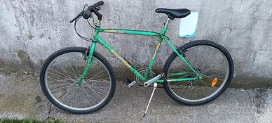 Bicicletta adulto taglia media ruote 26