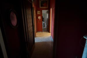 Via Francesco Vettori