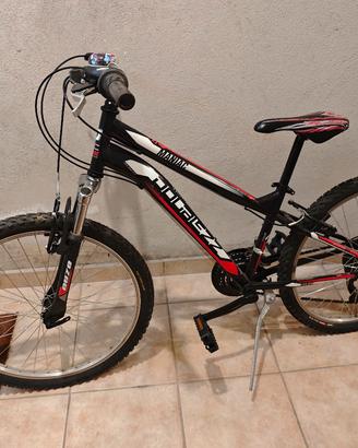 MTB ragazzo 24" 