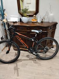 mountain bike