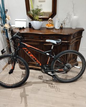 mountain bike