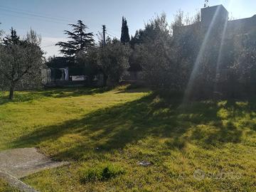 Terreno bisceglie