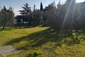 Terreno bisceglie