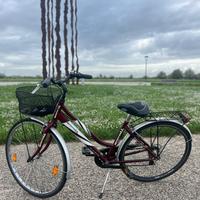 Bicicletta Carratt