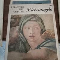 I Maestri del Colore: Michelangelo & Picasso