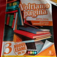 voltiamo pagina 3
