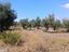Immagine 23