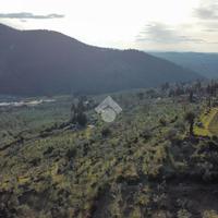 TERRENO A BAGNO A RIPOLI