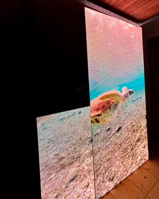 Ledwall 50x50 P3.9 completi di cavi - STOCK 50PZ