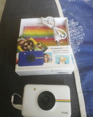 polaroid snap